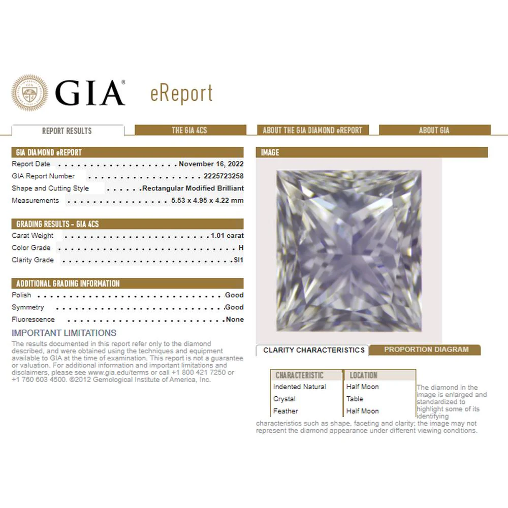 Platinum 1.01 Carat Princess Cut Diamond Engagement Ring with Halo Baguette and Round Accents - 1.58 Carat Total Diamond Weight - Image 3